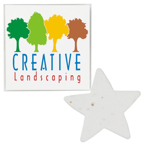 Plant-A-Shape Flower Seed Packet - Star Main Image