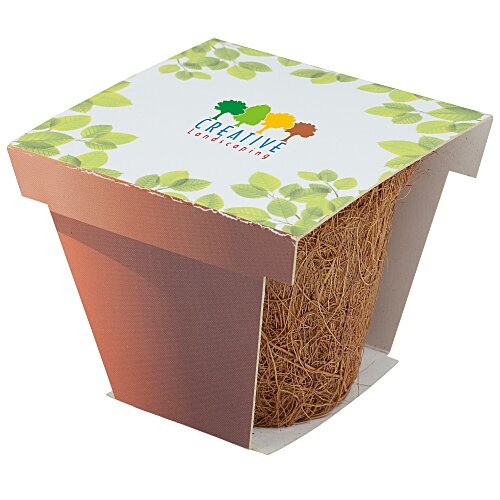CoCo Starter Grow Kit Main Image
