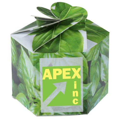 Pop Up Planter Kit - Basil Main Image