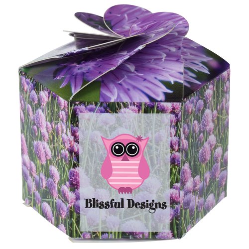 Pop Up Planter Kit - Chives Main Image