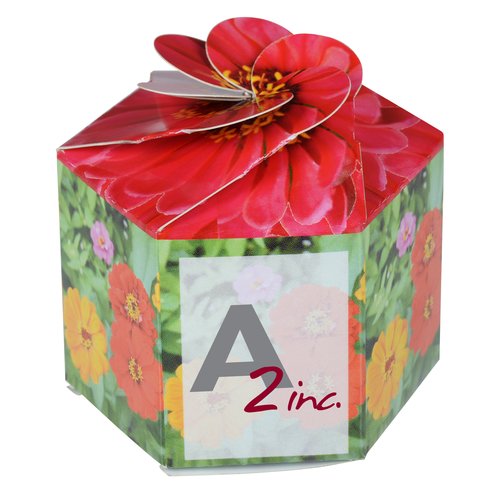 Pop Up Planter Kit - Zinnia Main Image