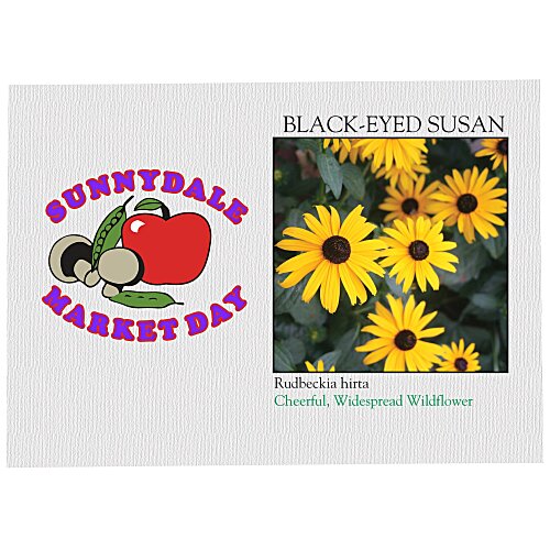 Impression Series Seed Packet - Black-Eyed Susan Main Image
