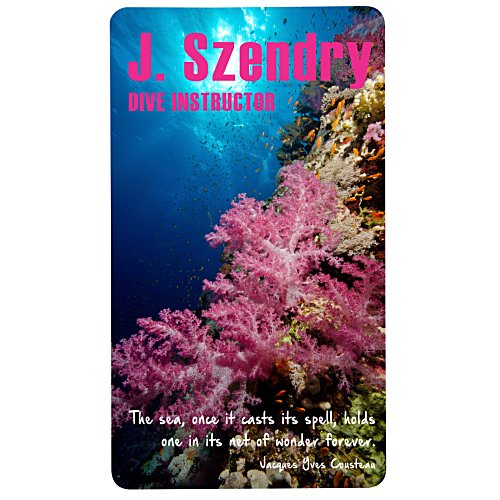 Business Card Magnet - 30 mil - Round Corners Main Image