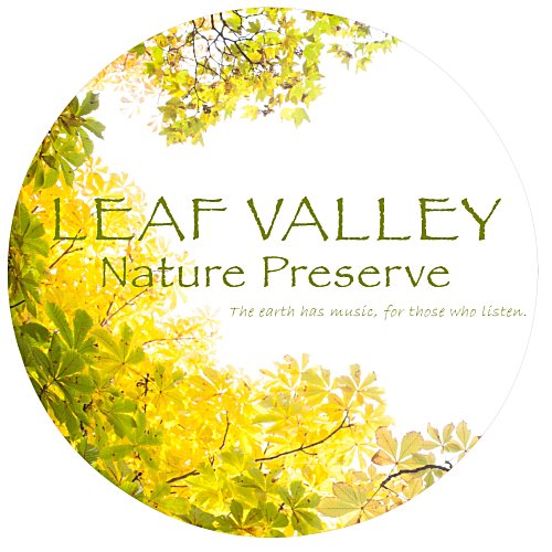 Car Magnet - Round - 5-7/8" Main Image