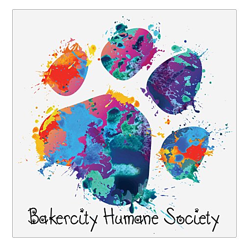 Custom Flat Flexible Magnet - 24.1 - 25 SQ IN Main Image