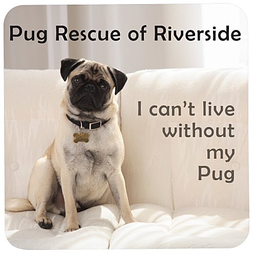 Car Magnet - Square with Round Corners - 5-7/8" Main Image