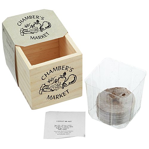 Wooden Cube Blossom Kit Main Image