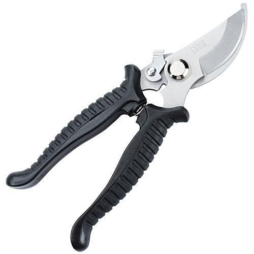 Hand Pruner Main Image