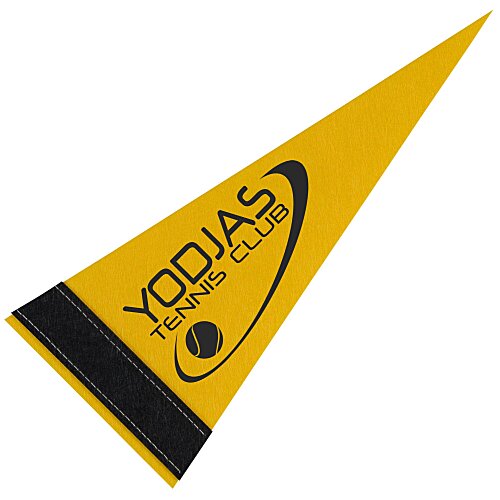 Pennant 4 inches x 10 inches - Colors Main Image