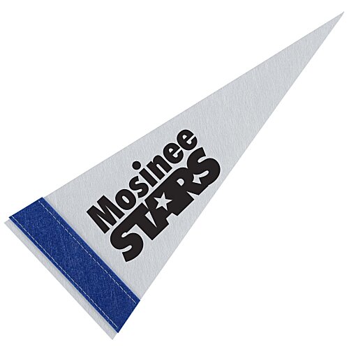 Pennant 4 inches x 10 inches - White Main Image