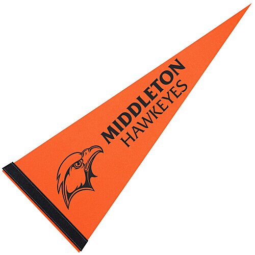 Pennant 9 inches x 24 inches - Colors Main Image