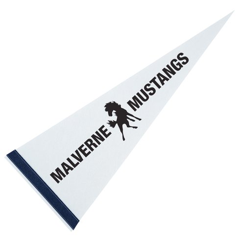 Pennant 9" x 24" - White Main Image