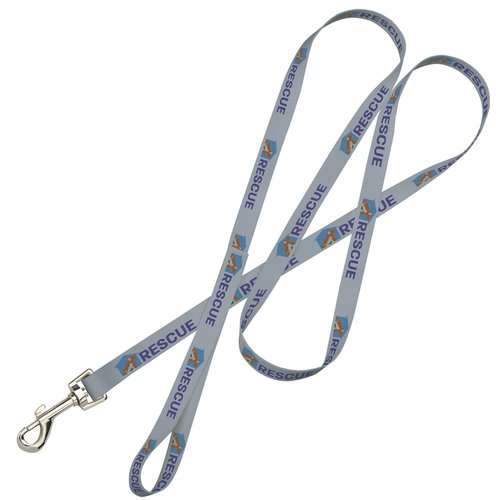 Pet Leash Main Image