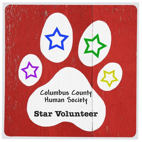 Full Color Sticker - Square - 6" x 6" Main Image