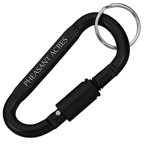 Carabiner Lock Keychain Main Image