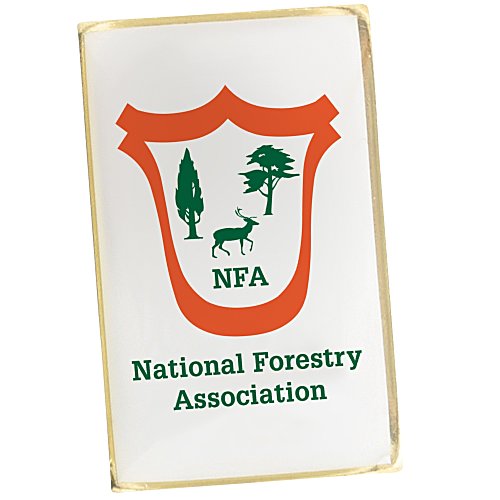 Lapel Pin - Small Rectangle Main Image