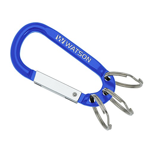 Arctic Carabiner Keychain - 24 hr Main Image