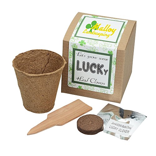 Growable Planter Gift Kit - Clovers Main Image
