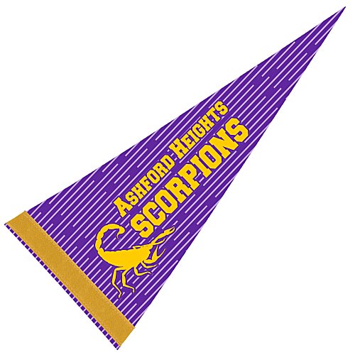 Pennant 8 inches x 18 inches - White - Full Color Main Image