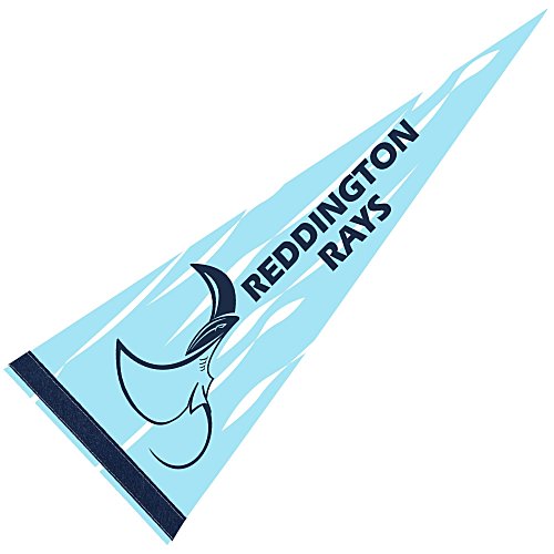 Pennant 9 inches x 24 inches - White - Full Color Main Image