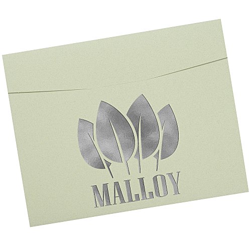 Portfolio Certificate Cover - Fiber Main Image