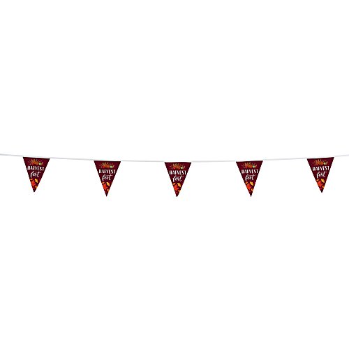 20' Triangle Pennant String - 12" x 9" - 11 Pennants - One Sided Main Image