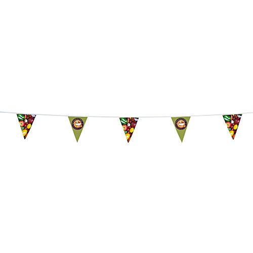 30' Triangle Pennant String - 12" x 9" - 16 Pennants - One Sided - Alternating Main Image