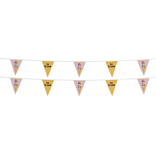 30' Triangle Pennant String - 12" x 9" - 16 Pennants - Two Sided - Alternating Main Image