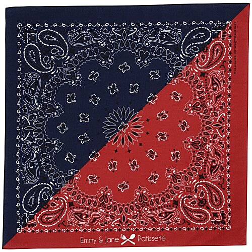 Colorblock Paisley Bandana - 22" x 22" Main Image