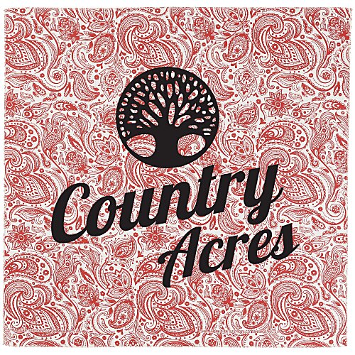 English Paisley Bandana - 22" x 22" Main Image