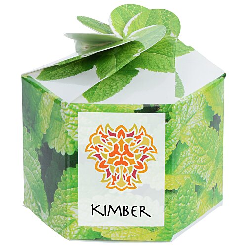 Pop Up Planter Kit - Mint Main Image
