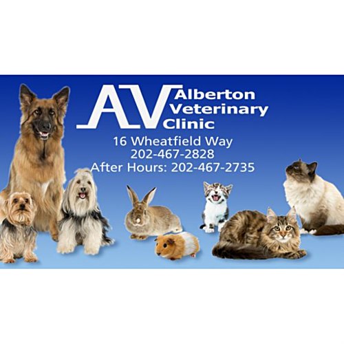 Business Card Magnet - 20 mil Main Image