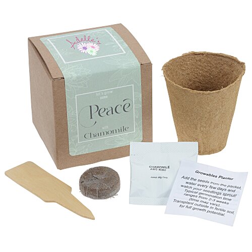 Growable Planter Gift Kit - Chamomile Main Image