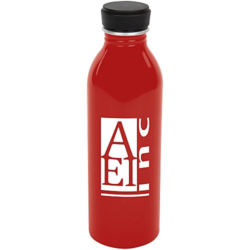 Level Aluminum Bottle - 17 oz. Main Image