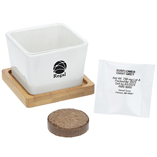 Ceramic Square Planter Set Main Image