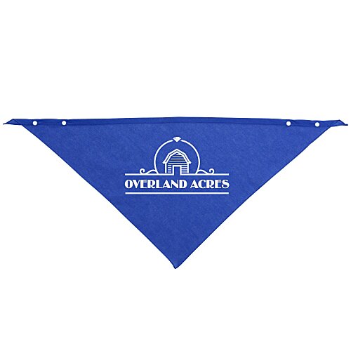 Snap and Go Pet Triangles - Large Main Image