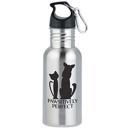 Stainless Adventure Bottle - 18 oz - 24 hr Main Image