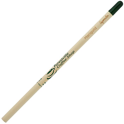 SproutWorld Pencil Main Image