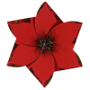 Additional Image 2 - a red flower with black center