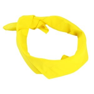 Additional Image 1 - a yellow scarf on a white background