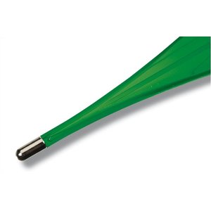 Additional Image 1 - a green and silver tip of a horn