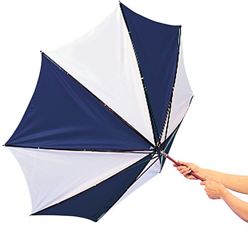 Additional Image 2 - a person holding an umbrella