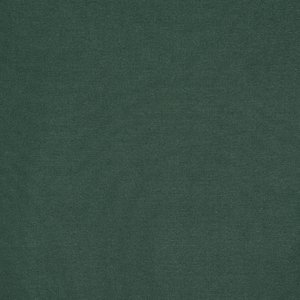 Additional Image 2 - a green wall with a white stripe