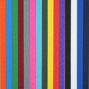 Additional Image 1 - a close up of a colorful line