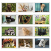 View Image 2 of 4 of Puppies & Kittens Calendar - Pocket