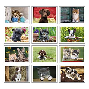 Additional Image 1 - a collage of images of animals