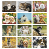 View Image 2 of 3 of Puppies & Kittens Appointment Calendar - Window
