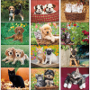 View Image 2 of 2 of Puppies & Kittens Calendar - Stapled - 24 hr