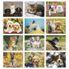 View Image 2 of 3 of Puppies & Kittens Calendar - Stapled
