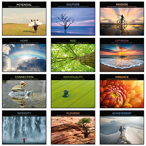 Additional Image 1 - a screenshot of a computer screen